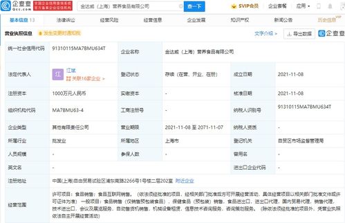 信息咨詢服務(wù) 在知識海洋中導(dǎo)航的專業(yè)燈塔