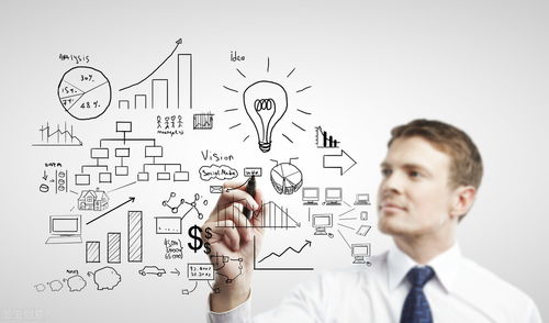 破局與新生 傳統(tǒng)軟件企業(yè)轉(zhuǎn)型中的互聯(lián)網(wǎng)產(chǎn)品市場策劃與運(yùn)營思路探析