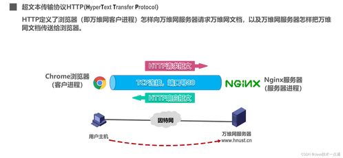 計算機網(wǎng)絡第六章應用層學習筆記 計算機信息網(wǎng)絡設計的關鍵