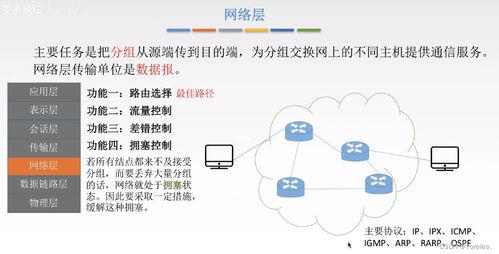 計算機網(wǎng)絡基礎與信息網(wǎng)絡設計