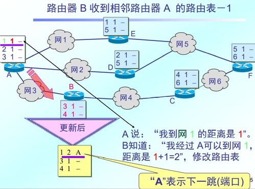 計算機(jī)網(wǎng)絡(luò)層設(shè)計 構(gòu)建高效可靠的信息傳輸框架